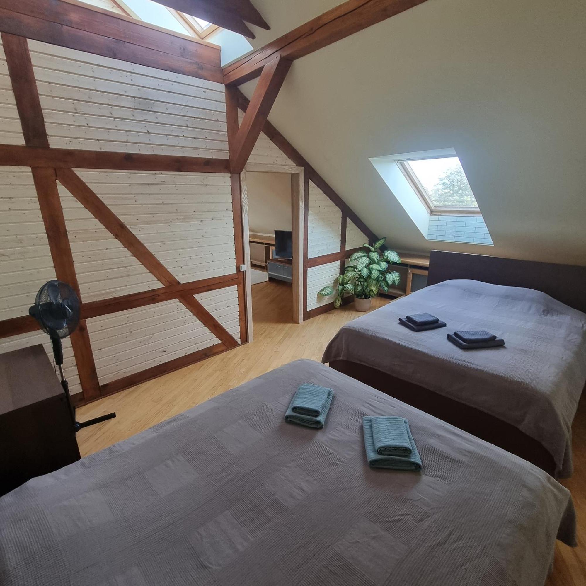 D-Mansard, Free Parking, Self-Check-In Apartment Klaipėda Exterior foto